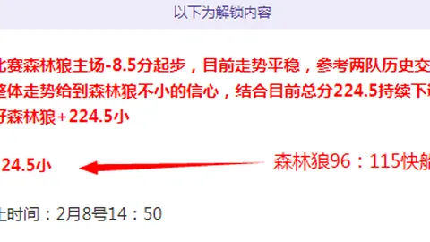 掘金队三双梦想背后的故事：阿裡納斯揭秘約基奇與數據的不解之緣